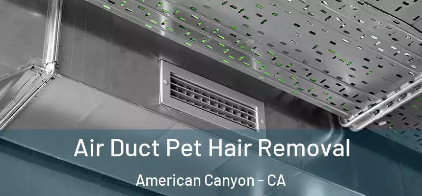 Air Duct Pet Hair Removal American Canyon - CA
