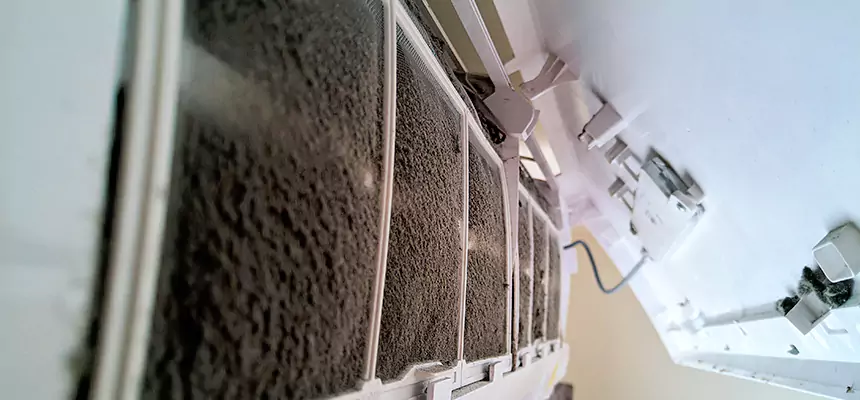 Preventive Air Duct Bacteria Removal in American Canyon