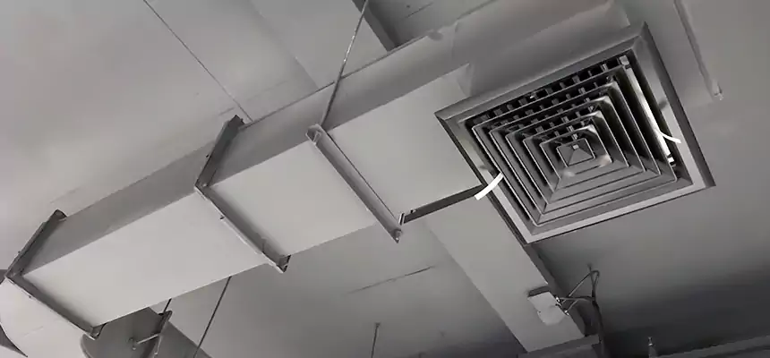 Restorative Allergy Relief Vent Cleaning – Coil, Blower & Housing Detail in American Canyon