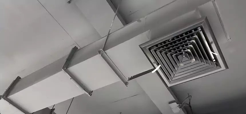 Our Rodent Droppings In Vents Services in American Canyon, CA