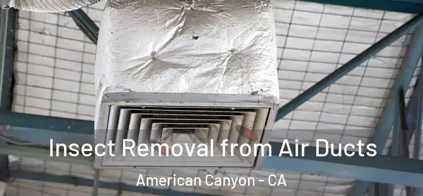 Insect Removal from Air Ducts American Canyon - CA