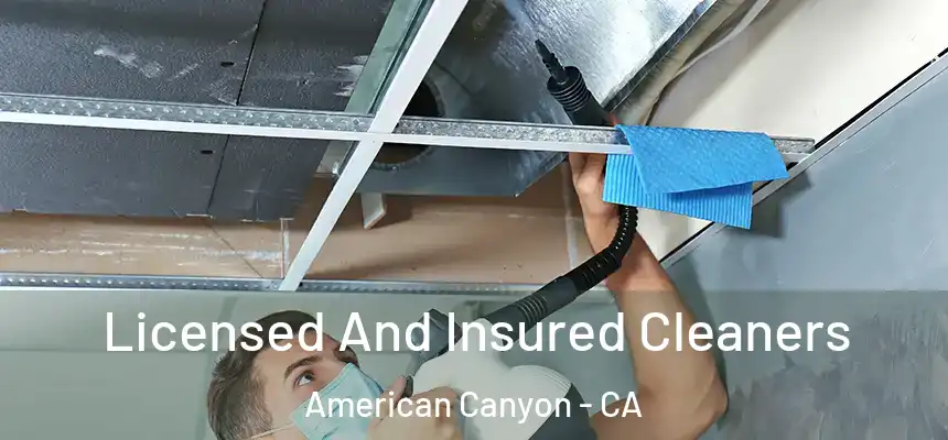  Licensed And Insured Cleaners American Canyon - CA