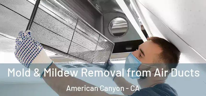 Mold & Mildew Removal from Air Ducts American Canyon - CA