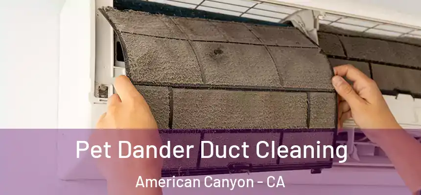 Pet Dander Duct Cleaning American Canyon - CA