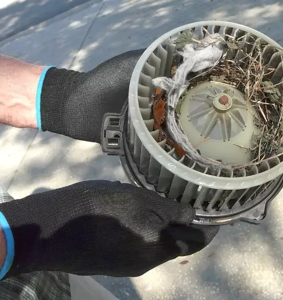 About Air Duct Mice Removal in American Canyon, CA