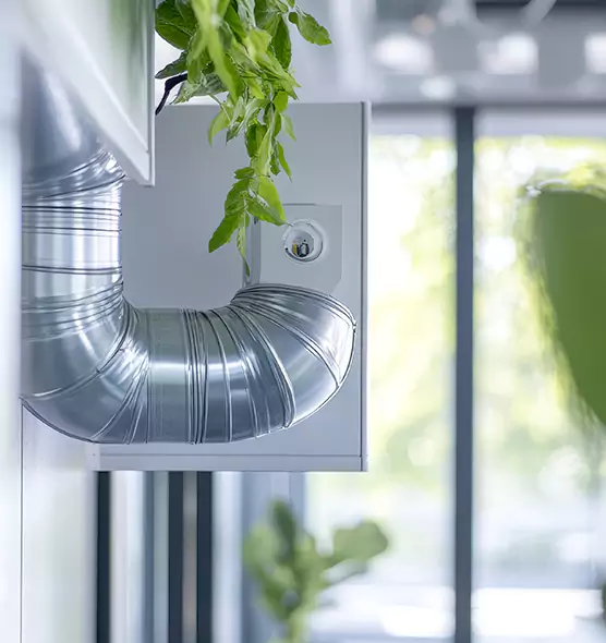 Professional Eco-Safe Dryer Vent Cleaning in American Canyon, CA