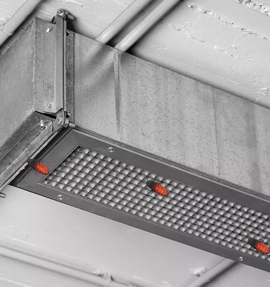 Affordable Insect Removal from Air Ducts in American Canyon, CA